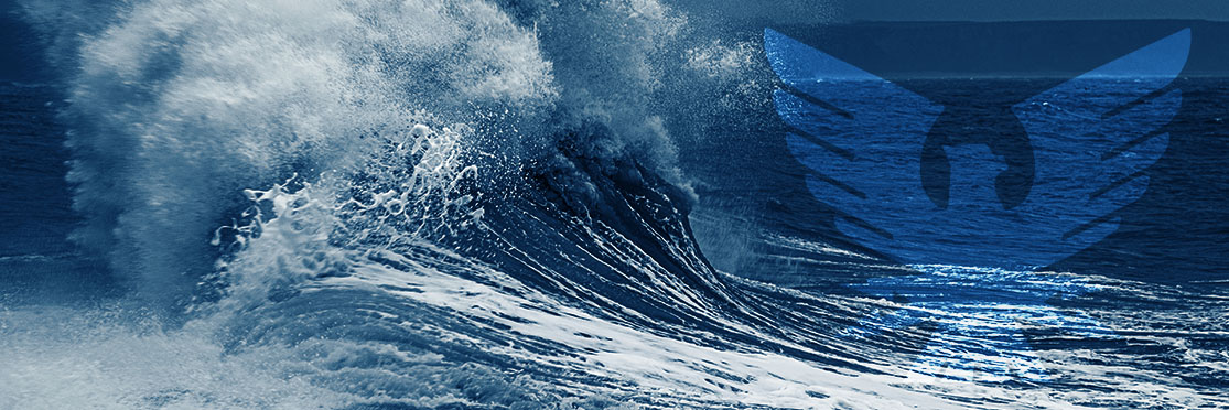What Is a Rogue Wave?